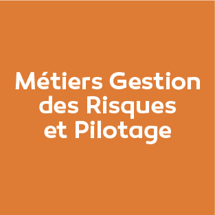 risques-pilotage